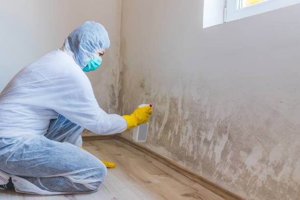 Hvac And Air Duct Mold Remediation inspection of HVAC system in Yorktown